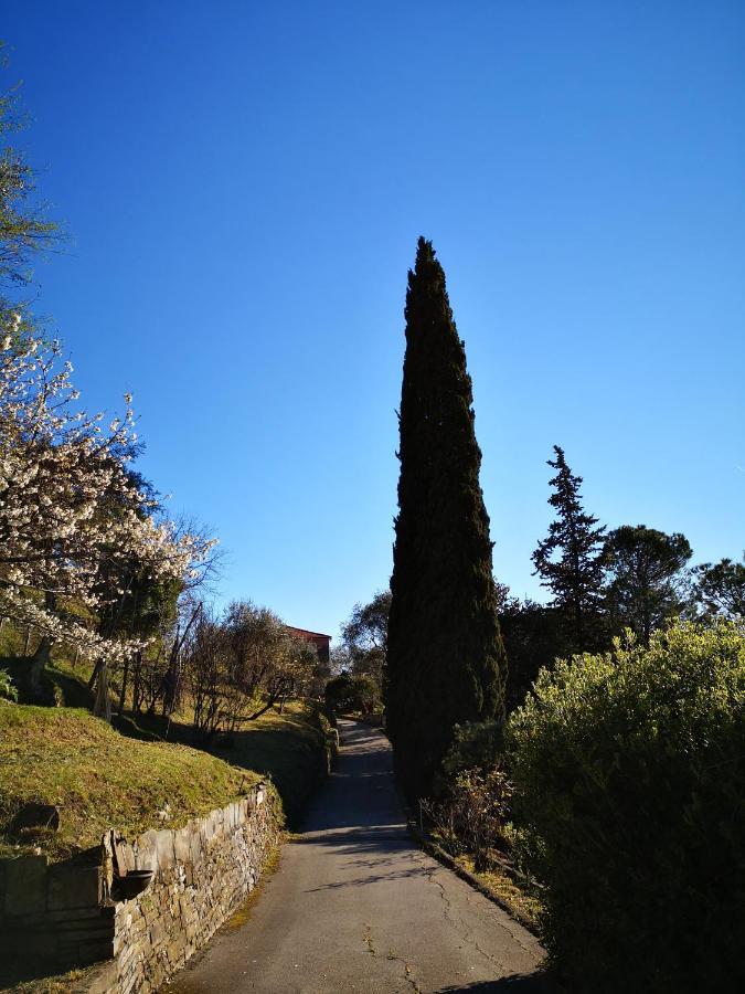 La Vivagna - Casa Vista Mare Tra Gli Ulivi Villa Leivi Kültér fotó