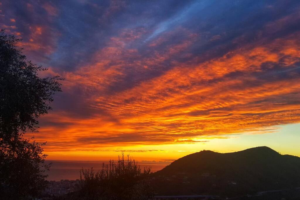 La Vivagna - Casa Vista Mare Tra Gli Ulivi Villa Leivi Kültér fotó