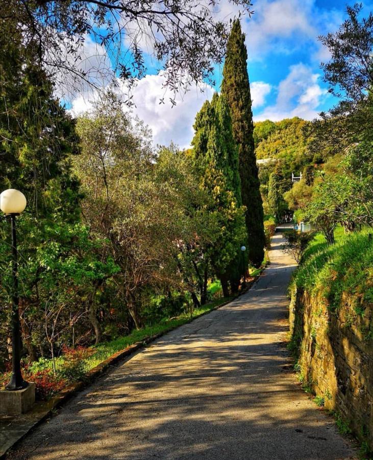 La Vivagna - Casa Vista Mare Tra Gli Ulivi Villa Leivi Kültér fotó