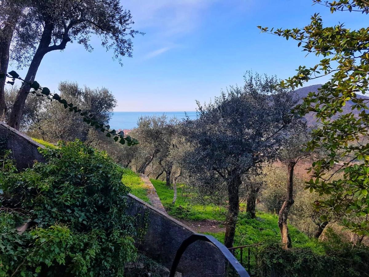 La Vivagna - Casa Vista Mare Tra Gli Ulivi Villa Leivi Kültér fotó